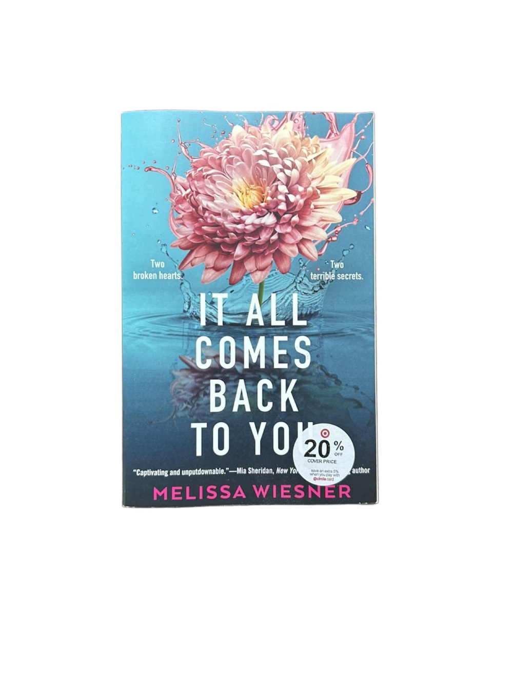 It All Comes Back to You by Melissa Wiesner - Paperback